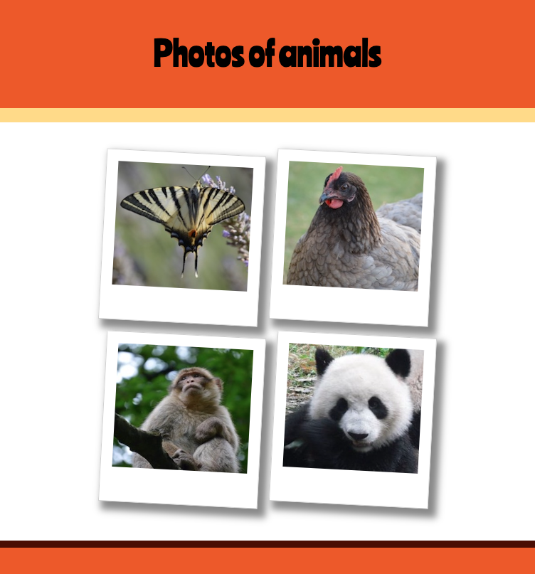 Screenshot of webpage with the title Photos of animals and the four images of animals.