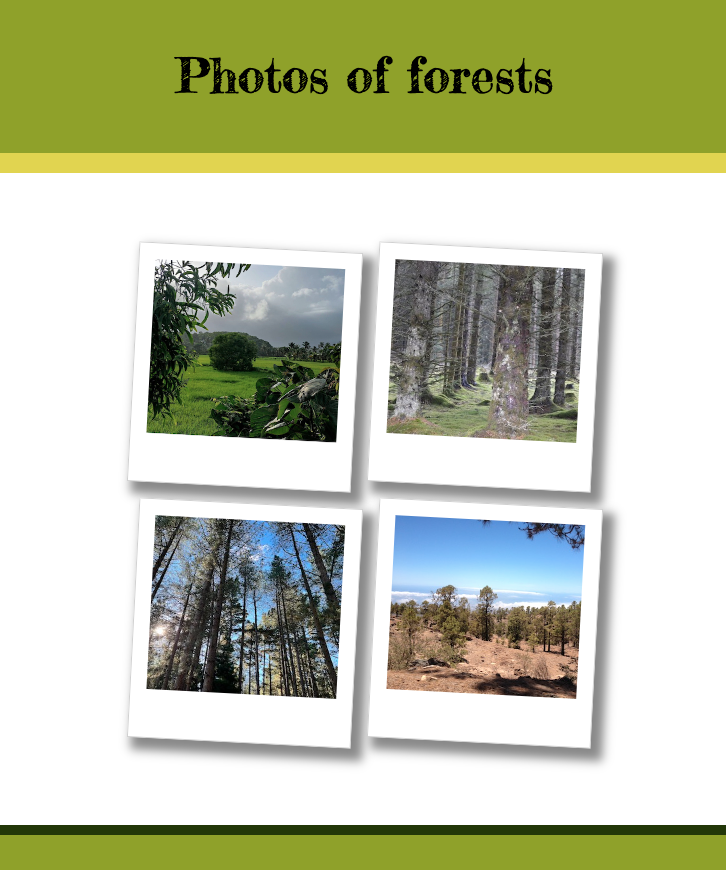 Screenshot of webpage with the title Photos of forests and the four images of forests.